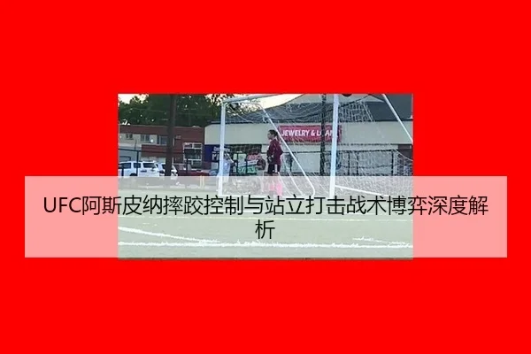 UFC阿斯皮纳摔跤控制与站立打击战术博弈深度解析