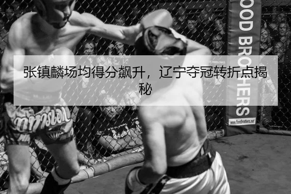 张镇麟场均得分飙升，辽宁夺冠转折点揭秘