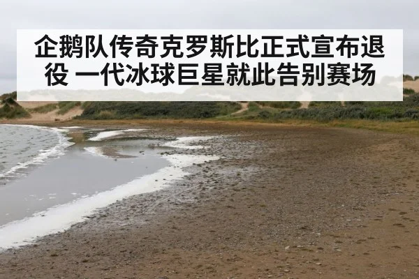 企鹅队传奇克罗斯比正式宣布退役 一代冰球巨星就此告别赛场
